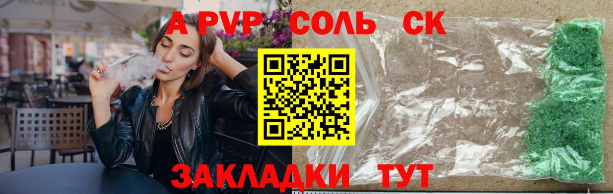 APVP СК Долгопрудный