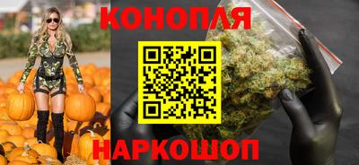 гидропоника Моздок
