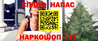 Альфа ПВП Можайск