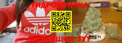 Альфа ПВП Можайск