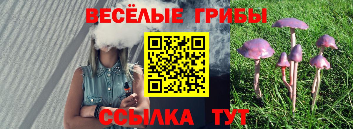 Долгопрудный  Галлюциногенные грибы мухоморы  Вход с VPN 